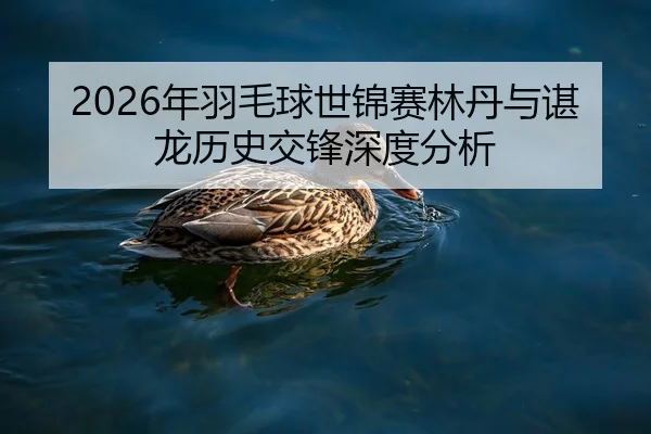 2026年羽毛球世锦赛林丹与谌龙历史交锋深度分析