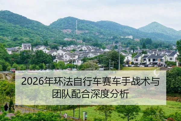 nian-huan-fa-zi-xing-che-sai-che-shou-zhan-shu-yu-tuan-dui-pei-he-shen-du-fen-xi-2-505.jpg