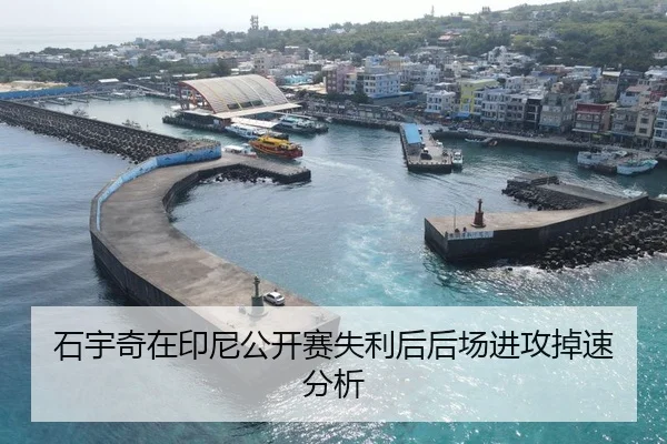 石宇奇在印尼公开赛失利后后场进攻掉速分析
