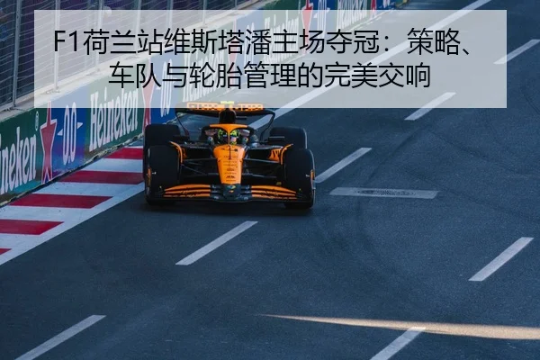 he-lan-zhan-wei-si-ta-pan-zhu-chang-duo-guan-ce-lve-che-dui-yu-lun-tai-guan-li-de-wan-mei-jiao-xiang-2-754.jpg