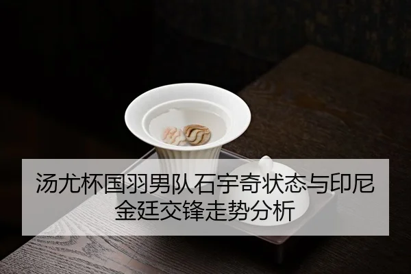 tang-you-bei-guo-yu-nan-dui-shi-yu-qi-zhuang-tai-yu-yin-ni-jin-ting-jiao-feng-zou-shi-fen-xi-3-517.jpg