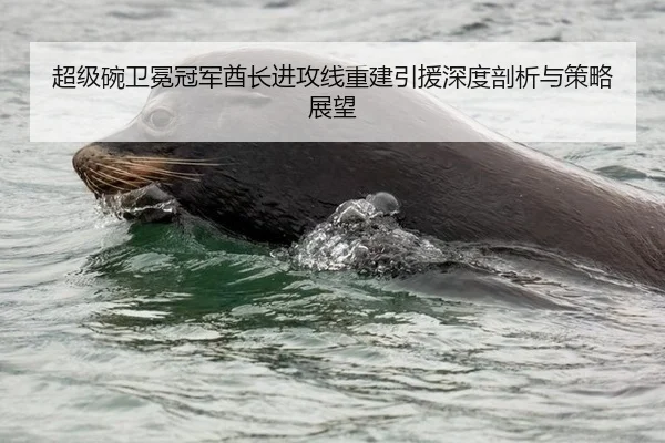超级碗卫冕冠军酋长进攻线重建引援深度剖析与策略展望